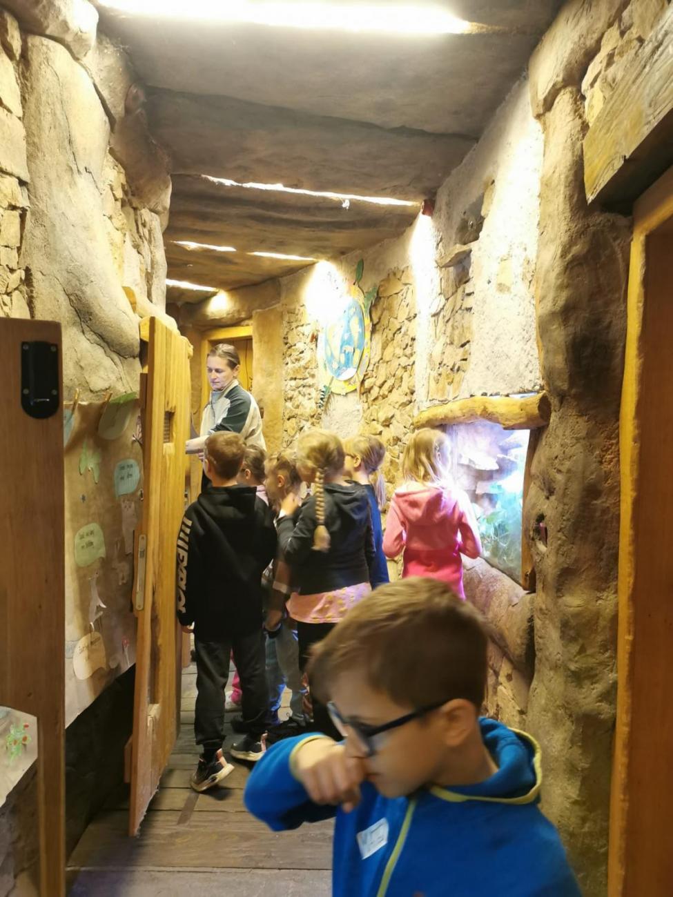 ZOO - Mazlíčci  2.C