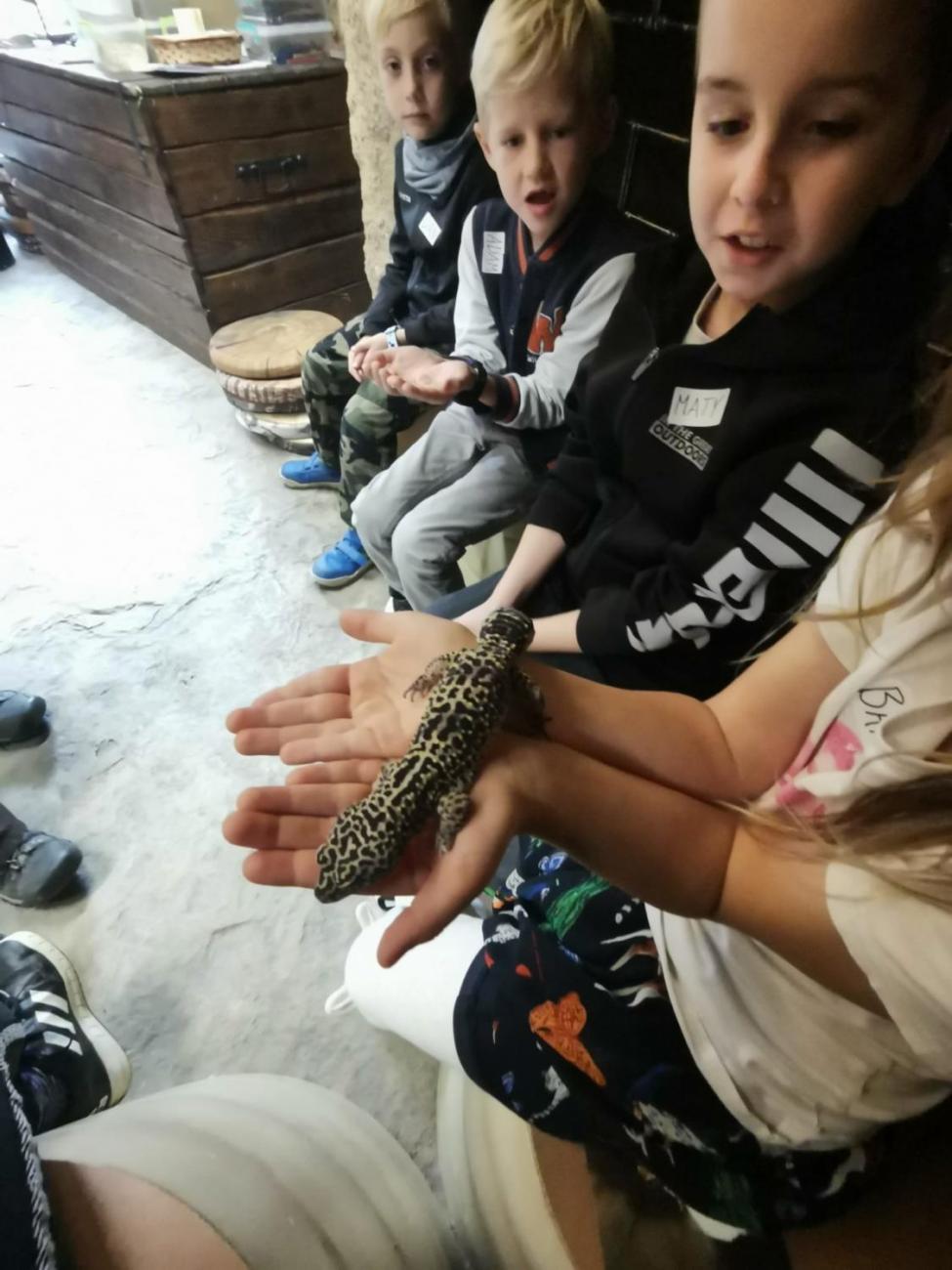 ZOO - Mazlíčci  2.C