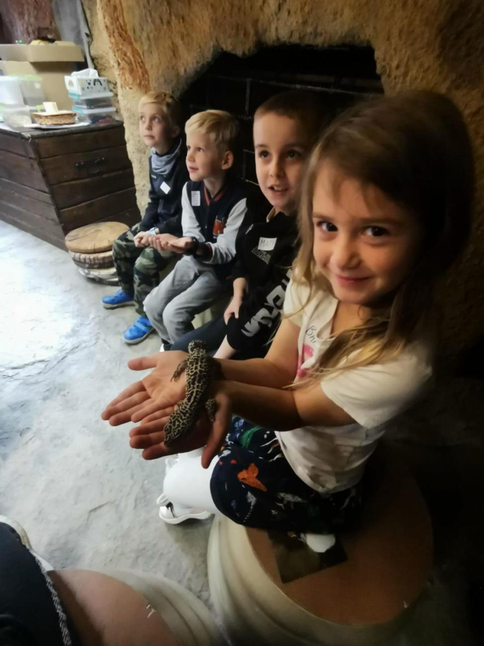 ZOO - Mazlíčci  2.C