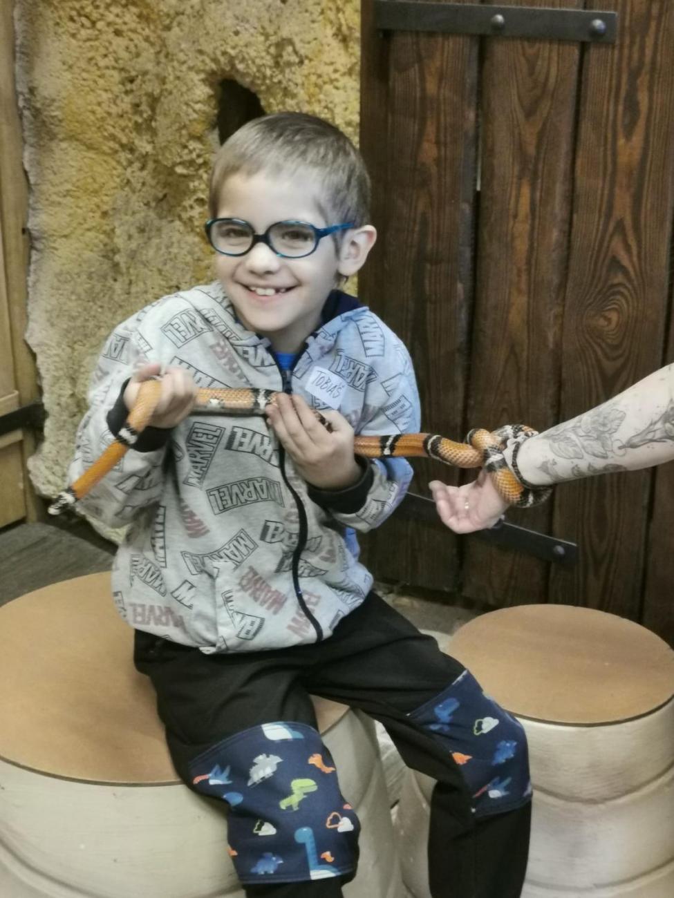 ZOO - Mazlíčci  2.C