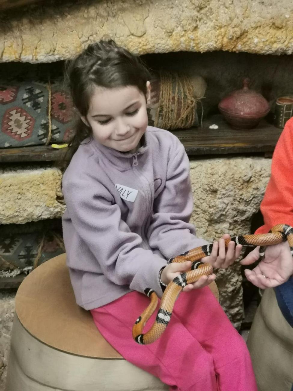 ZOO - Mazlíčci  2.C