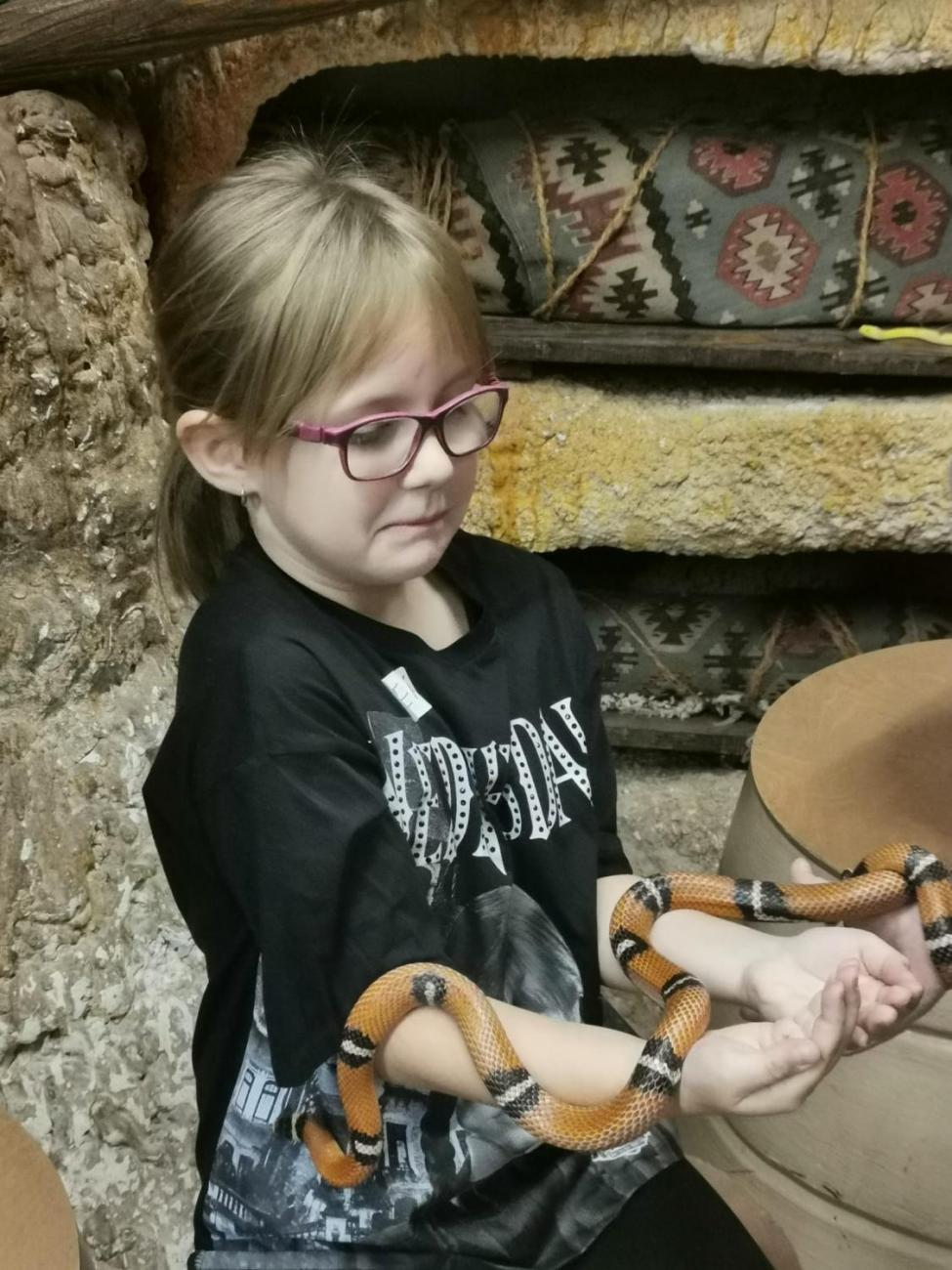 ZOO - Mazlíčci  2.C