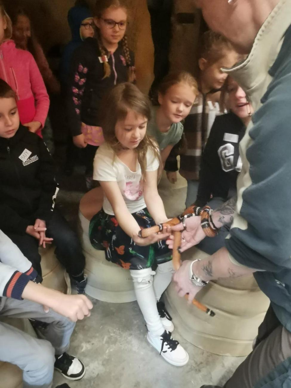 ZOO - Mazlíčci  2.C