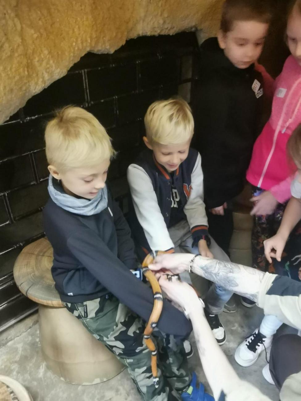 ZOO - Mazlíčci  2.C