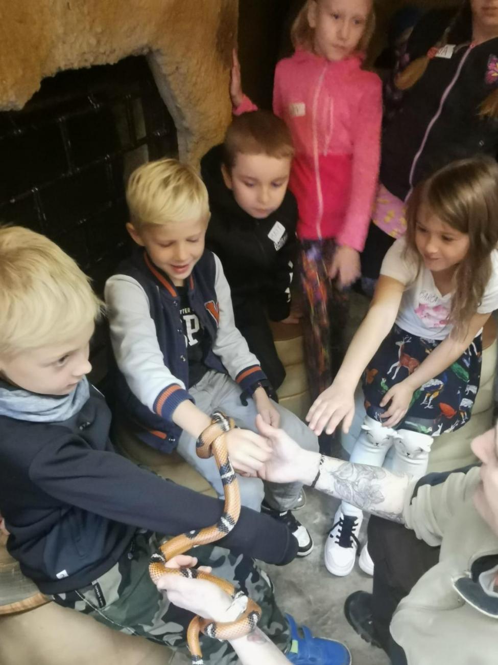 ZOO - Mazlíčci  2.C