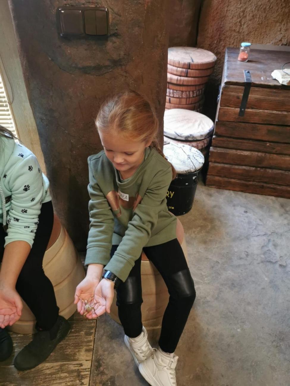 ZOO - Mazlíčci  2.C