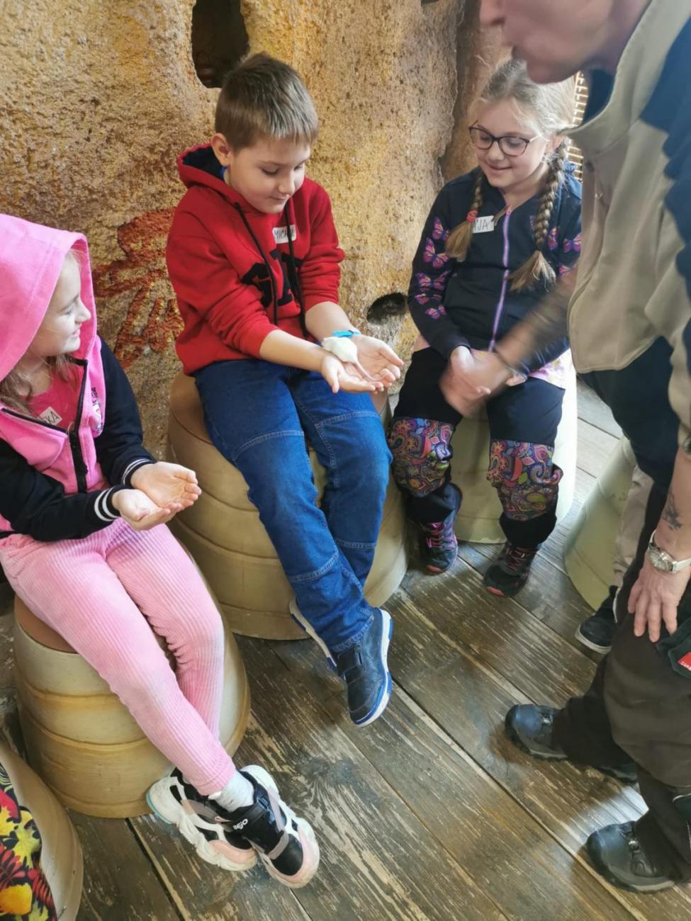 ZOO - Mazlíčci  2.C