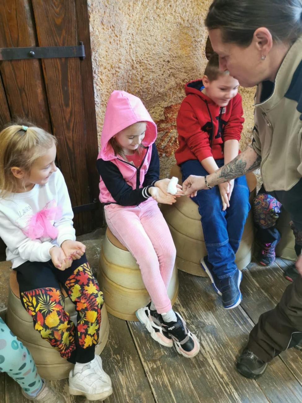 ZOO - Mazlíčci  2.C