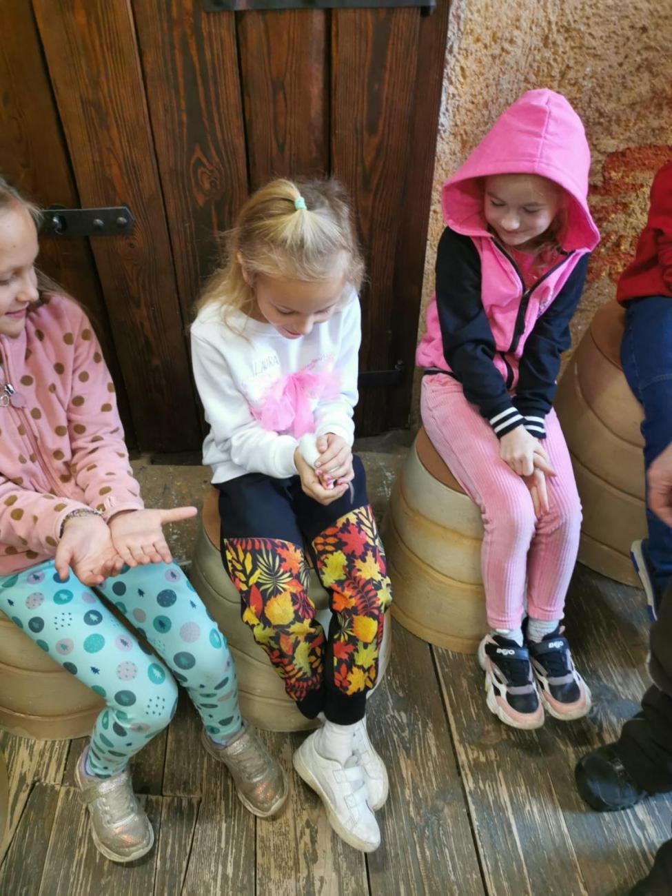 ZOO - Mazlíčci  2.C