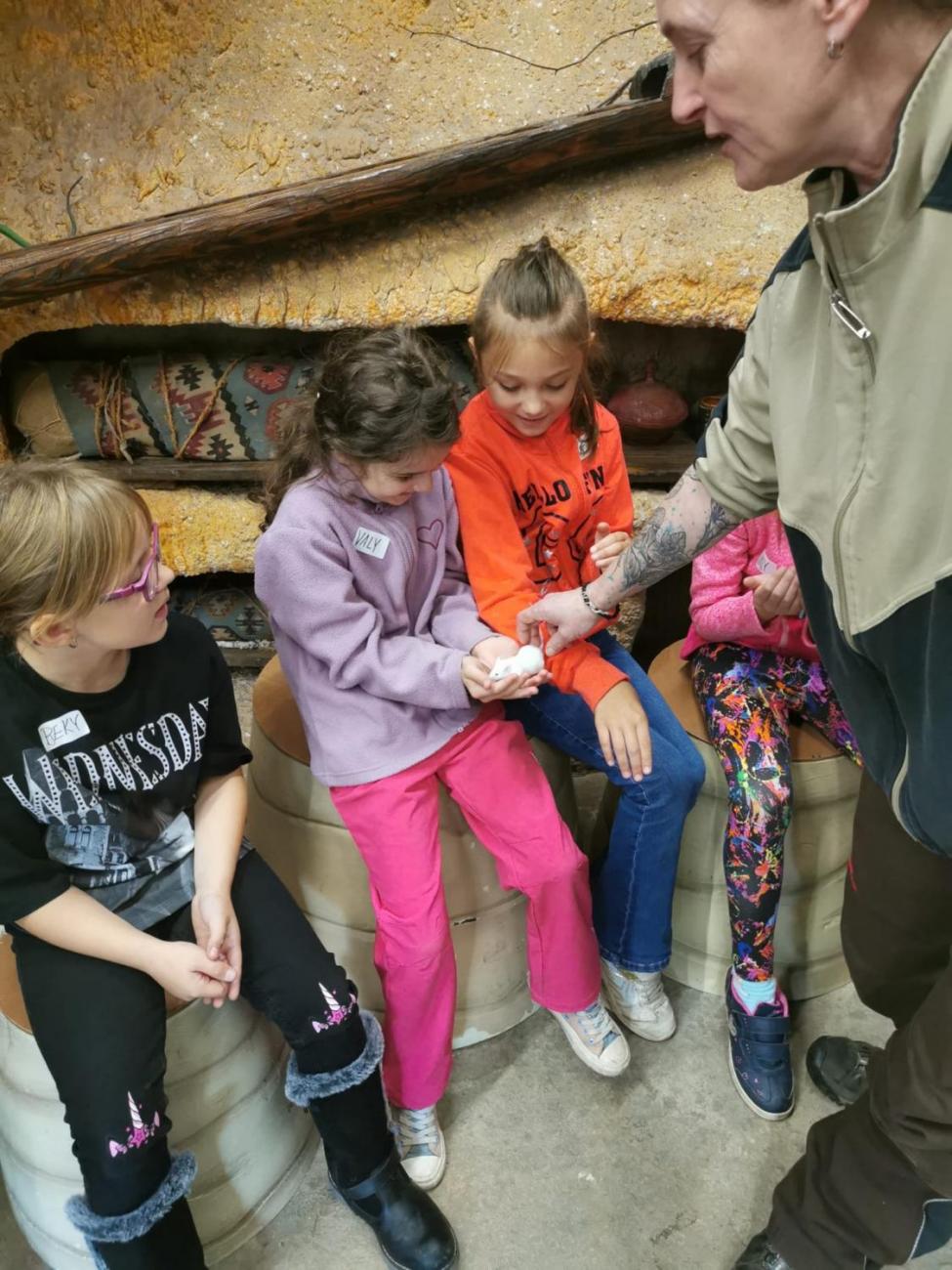 ZOO - Mazlíčci  2.C