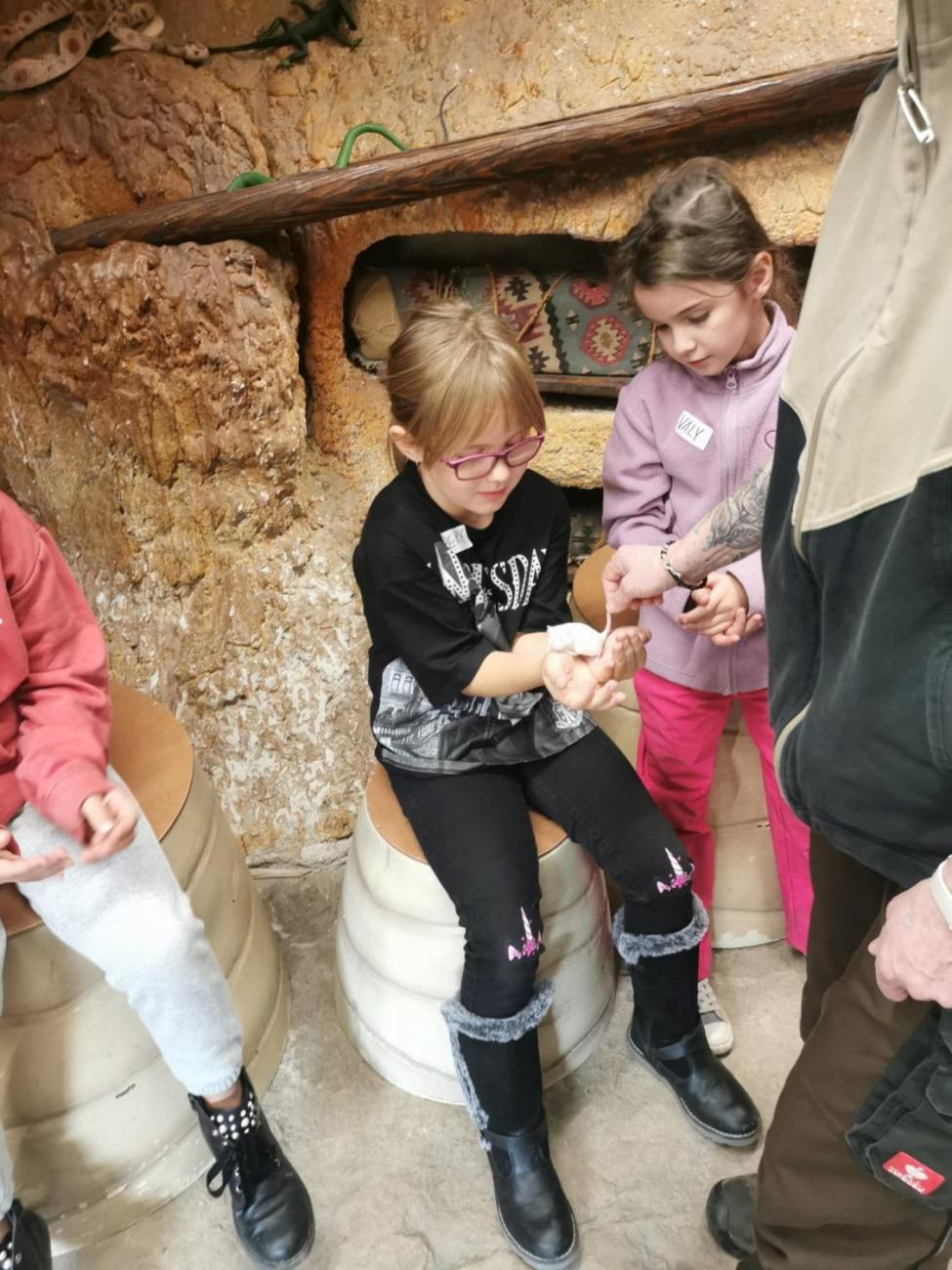 ZOO - Mazlíčci  2.C