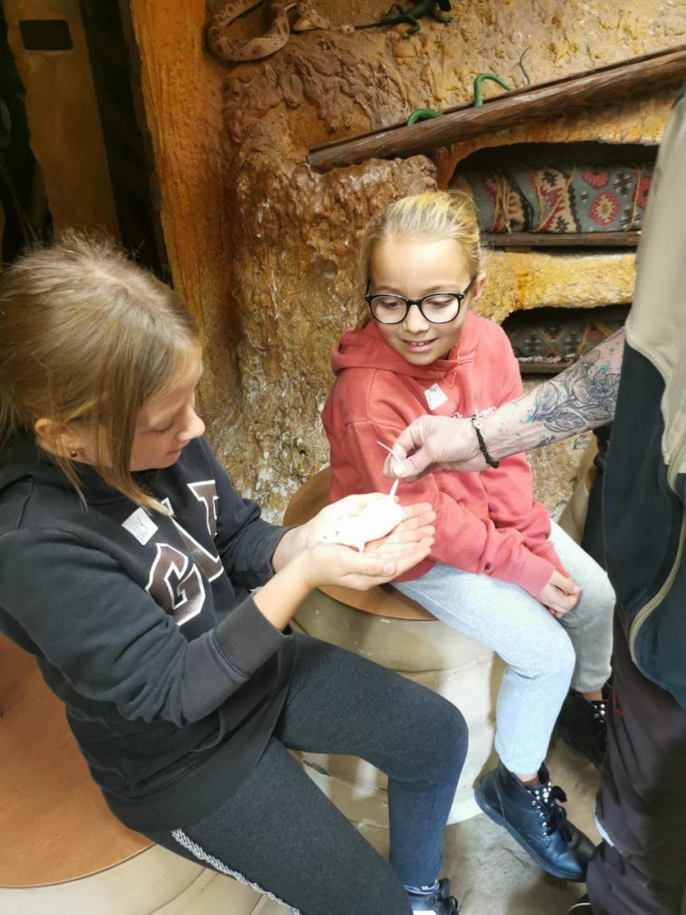 ZOO - Mazlíčci  2.C