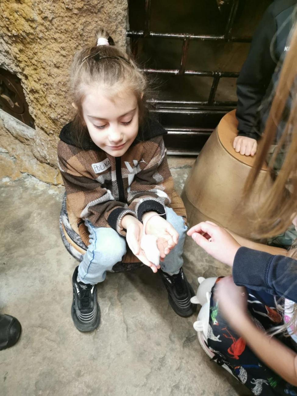 ZOO - Mazlíčci  2.C