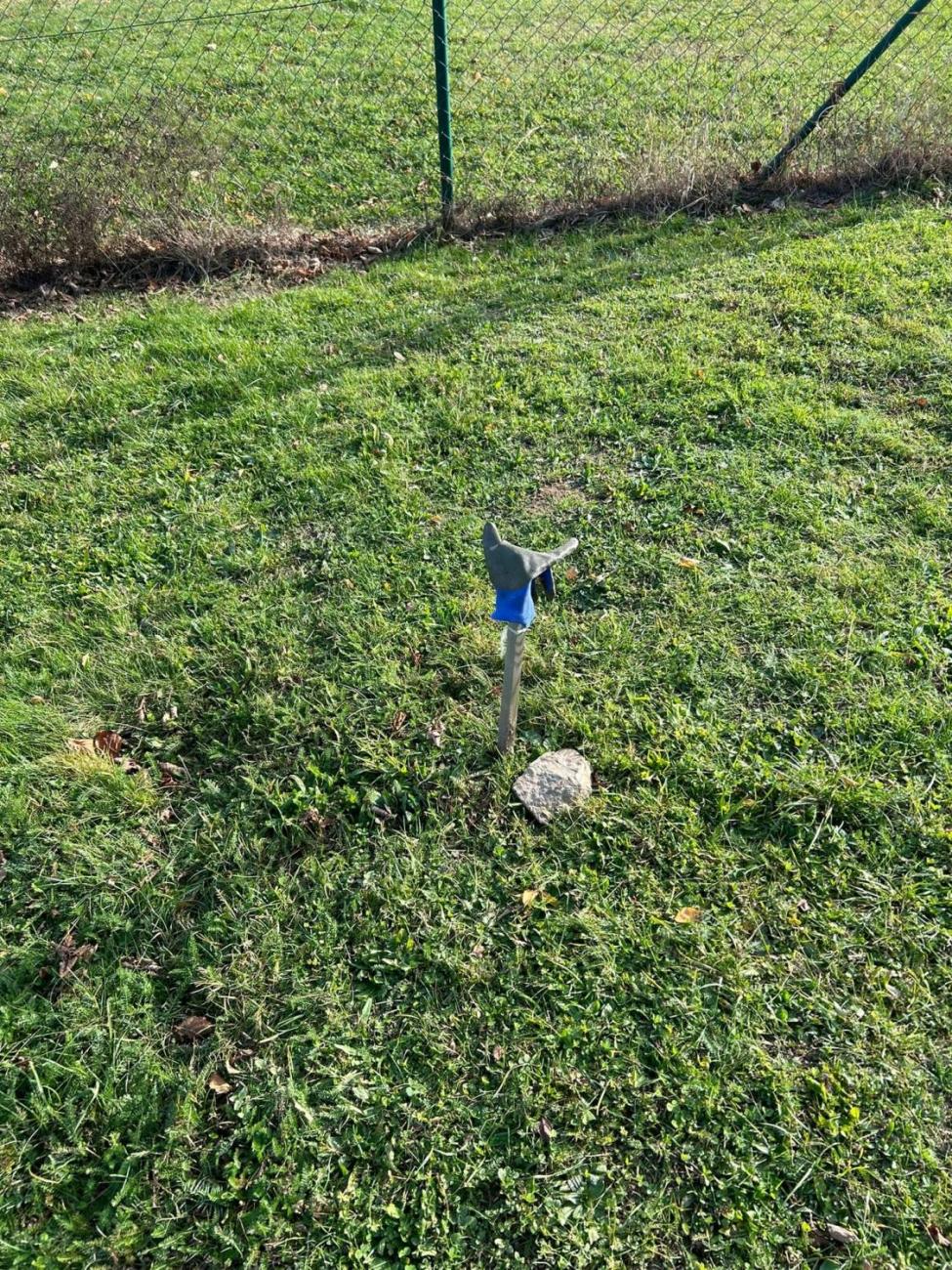 Sázení dubu z Osvětimi