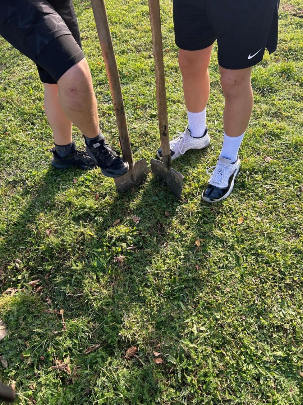 Sázení dubu z Osvětimi