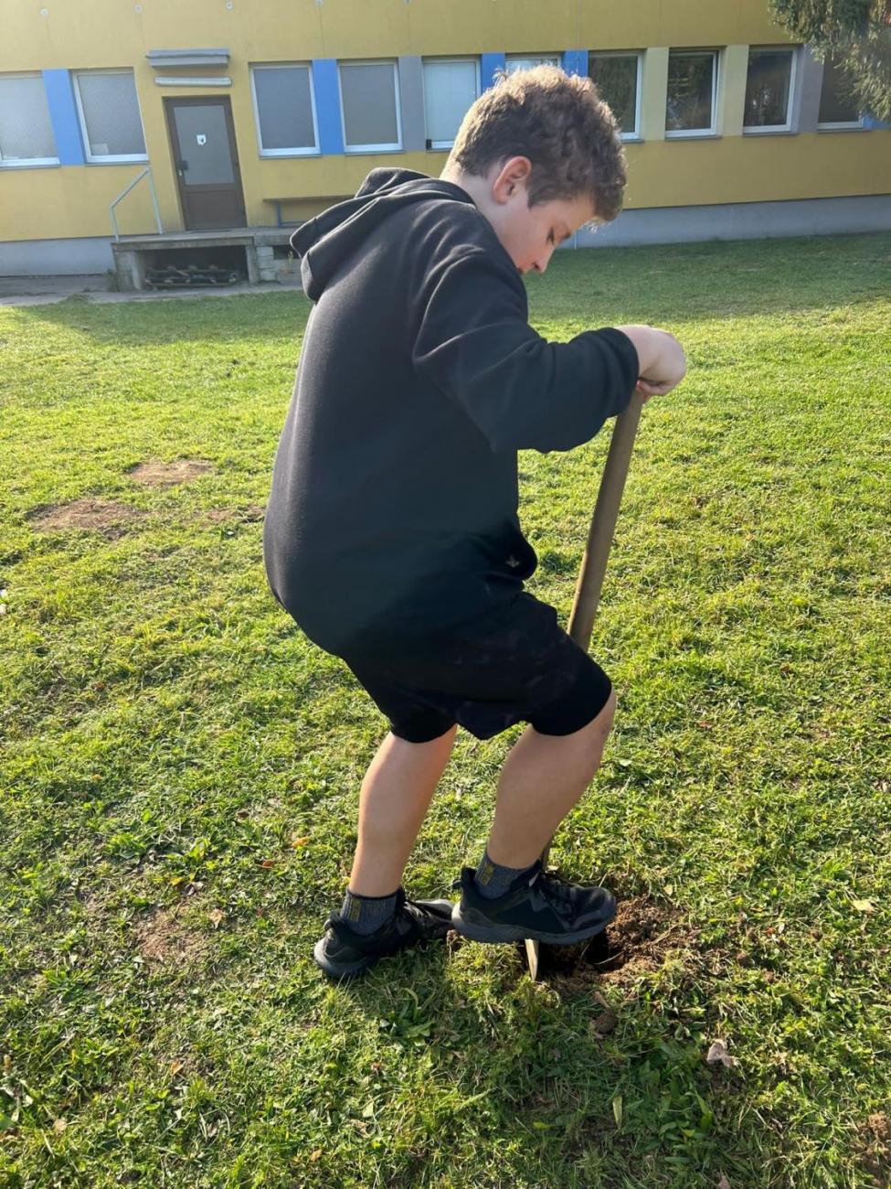 Sázení dubu z Osvětimi