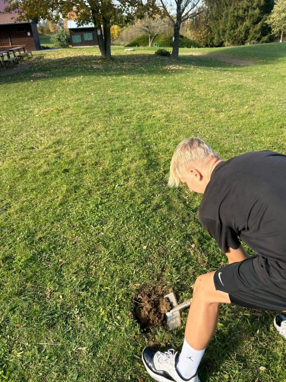 Sázení dubu z Osvětimi
