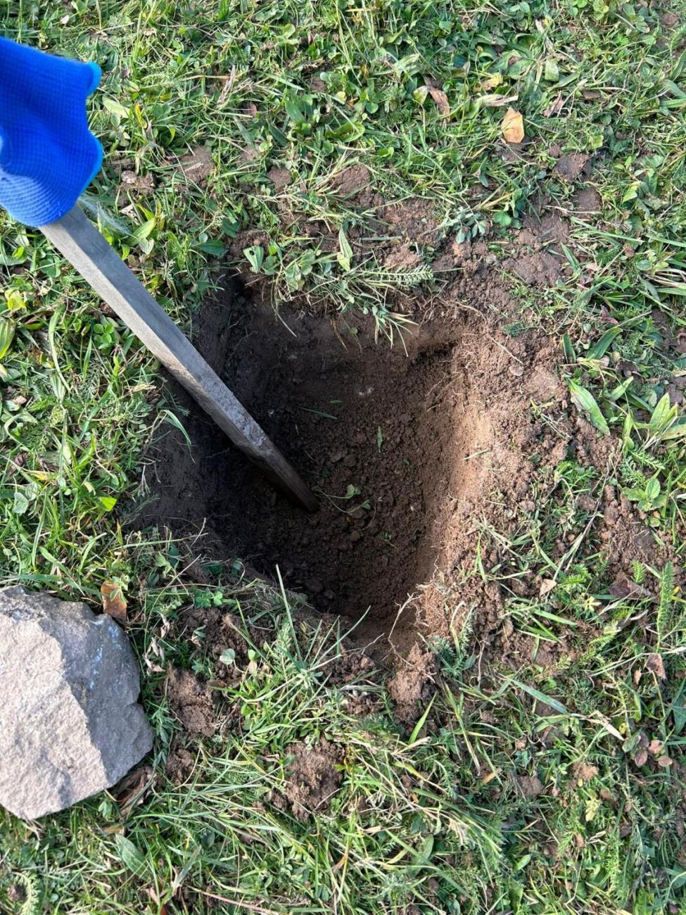 Sázení dubu z Osvětimi