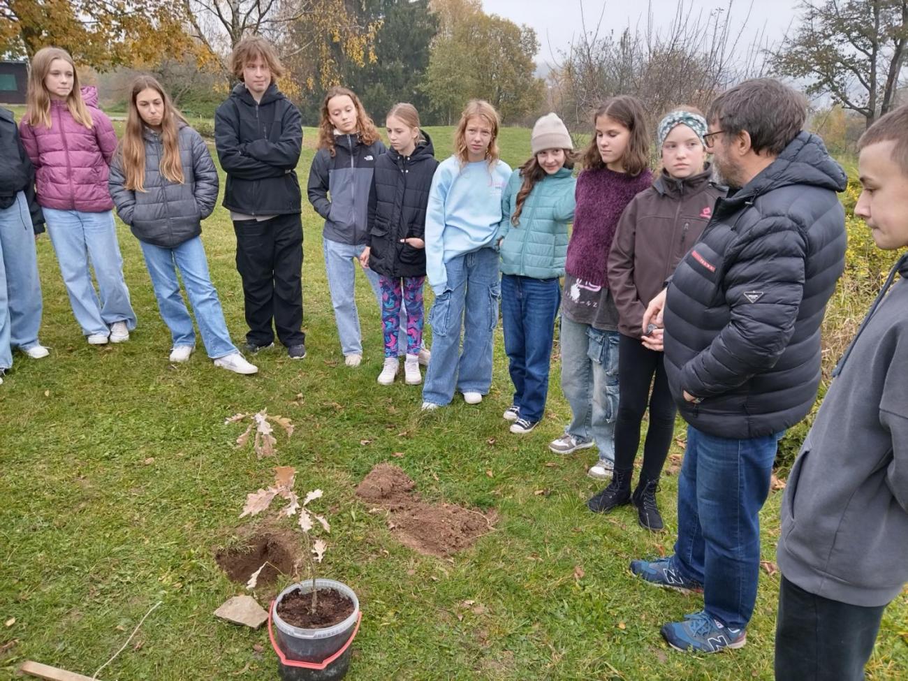 Sázení dubu z Osvětimi