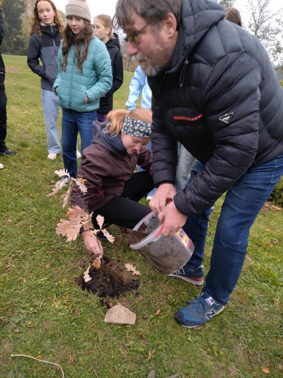 Sázení dubu z Osvětimi