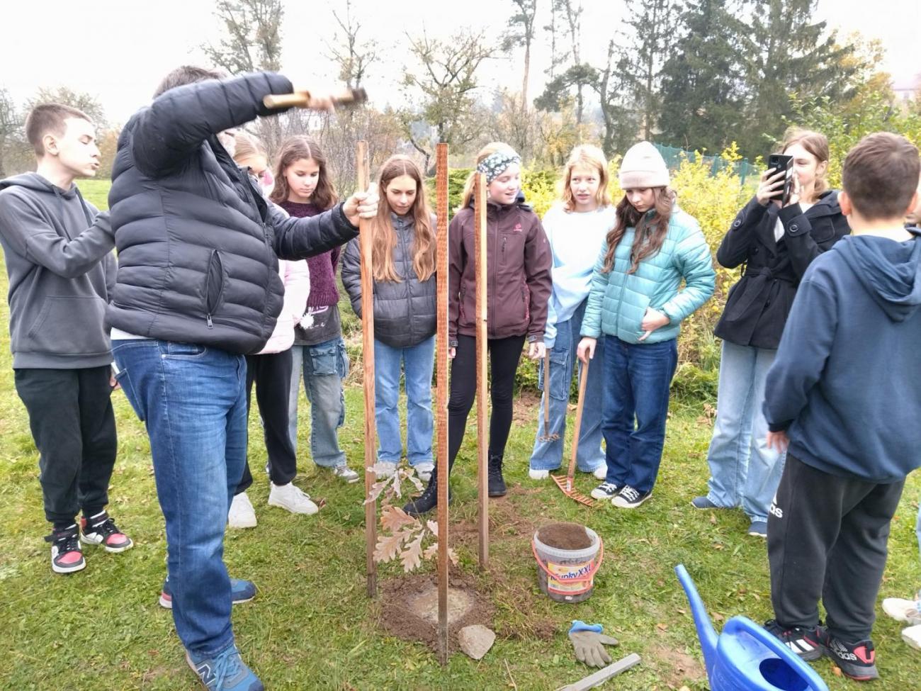 Sázení dubu z Osvětimi