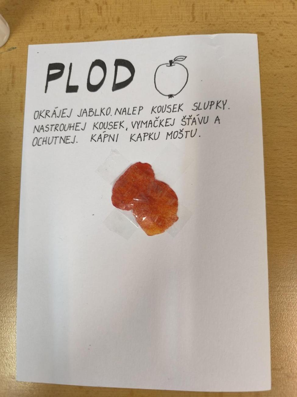 Od semínka k moštu  2. ročník