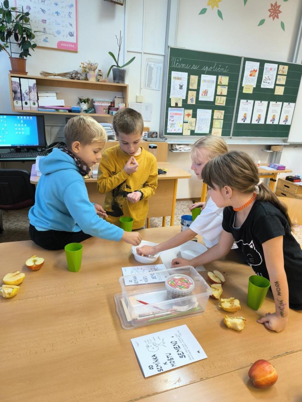 Od semínka k moštu  2. ročník