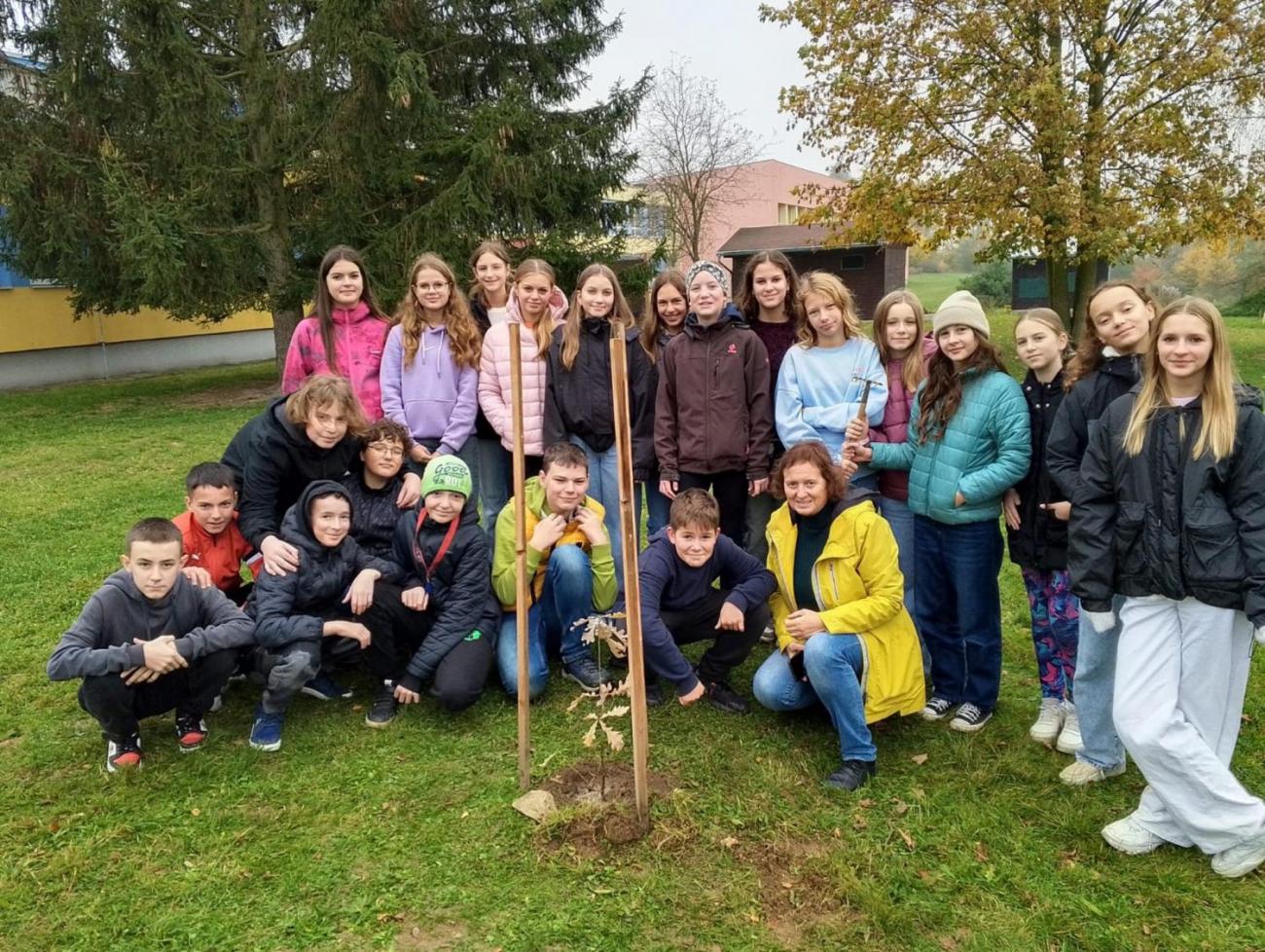 Sázení dubu z Osvětimi