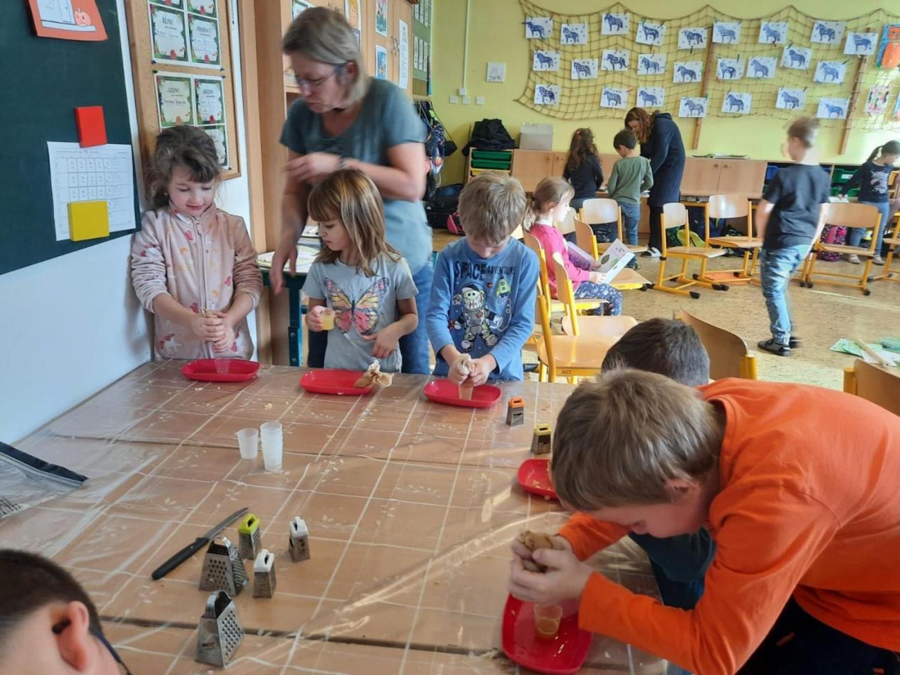 Od semínka k moštu  1.C