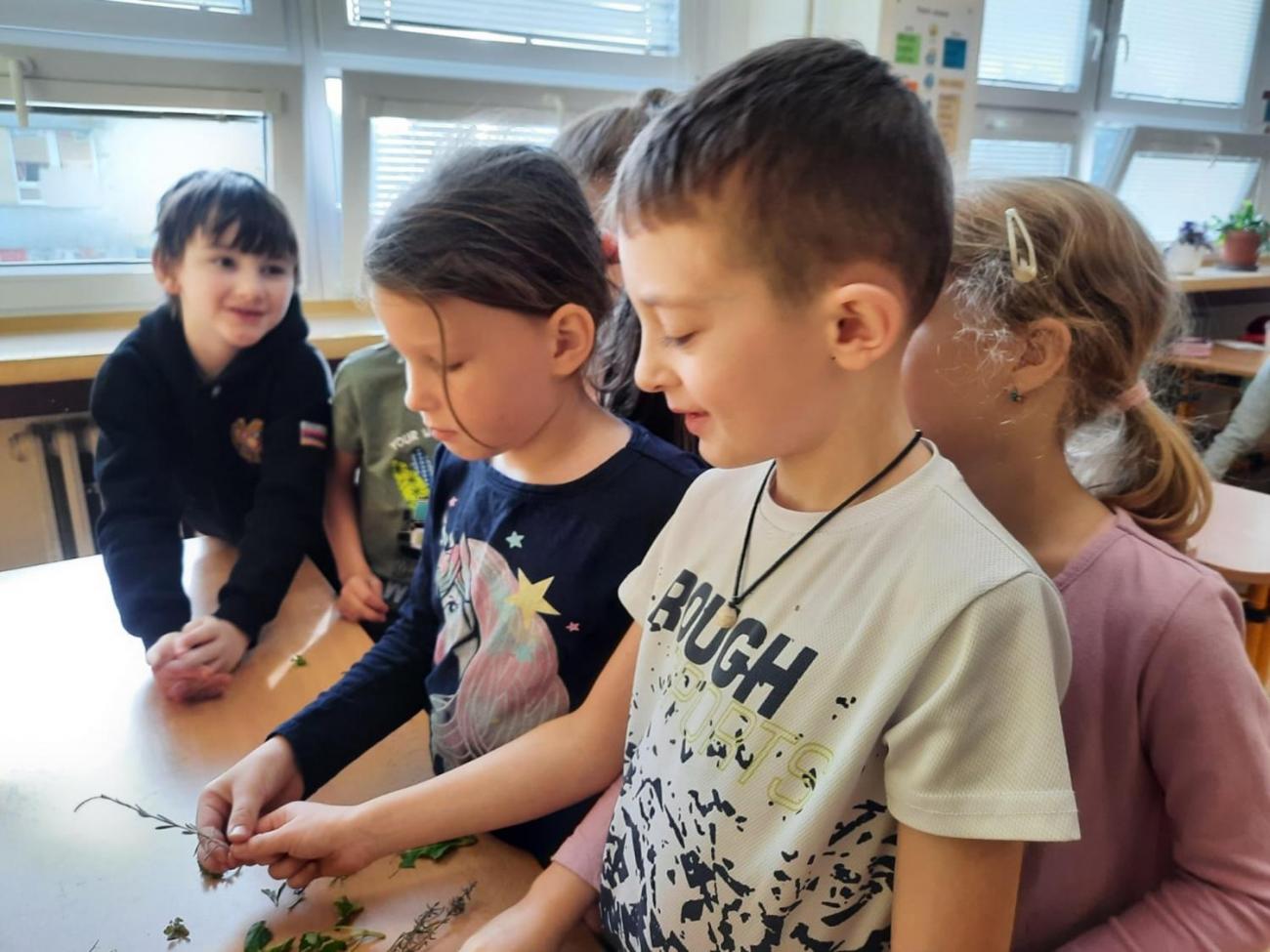 Od semínka k moštu  1.C