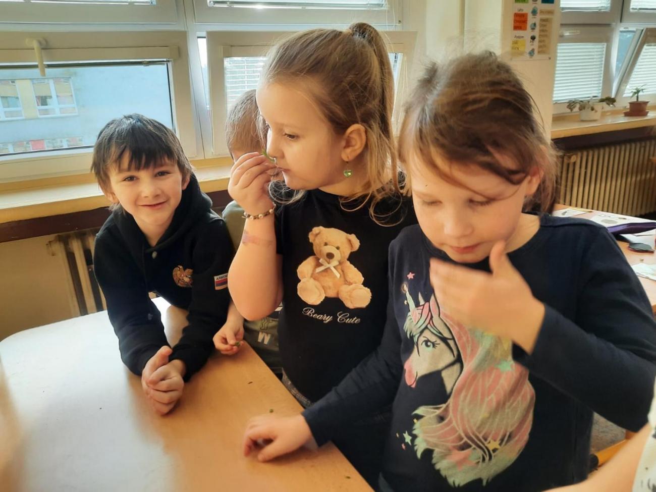 Od semínka k moštu  1.C