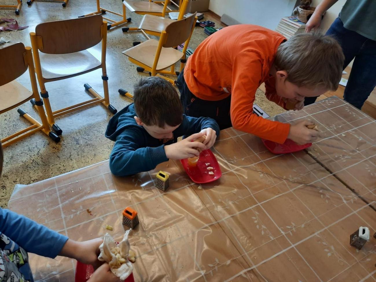 Od semínka k moštu  1.C