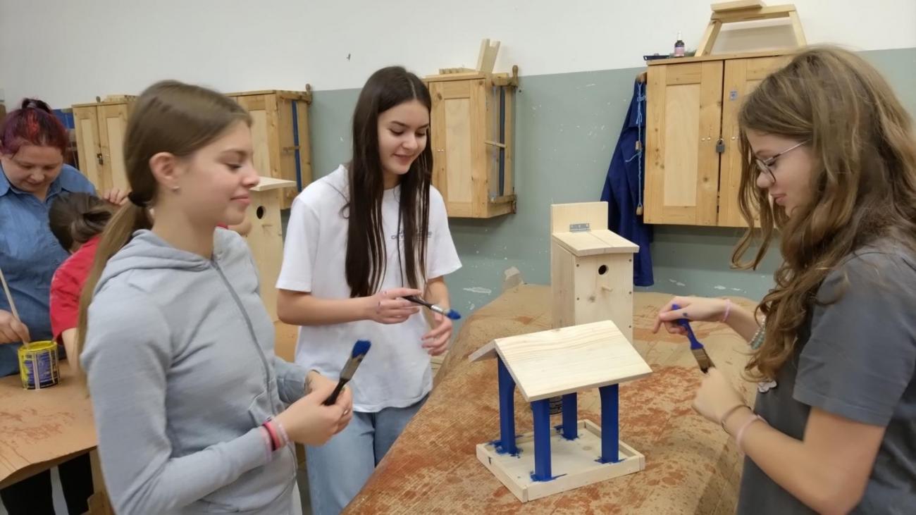 Projekt "Budka"; Spolupráce 7.C s klienty DTS Jihlava