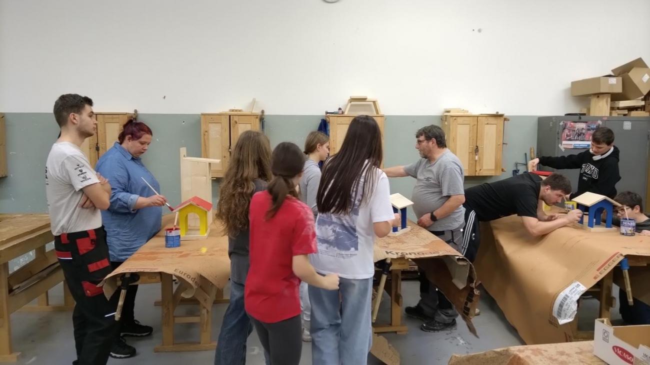 Projekt "Budka"; Spolupráce 7.C s klienty DTS Jihlava