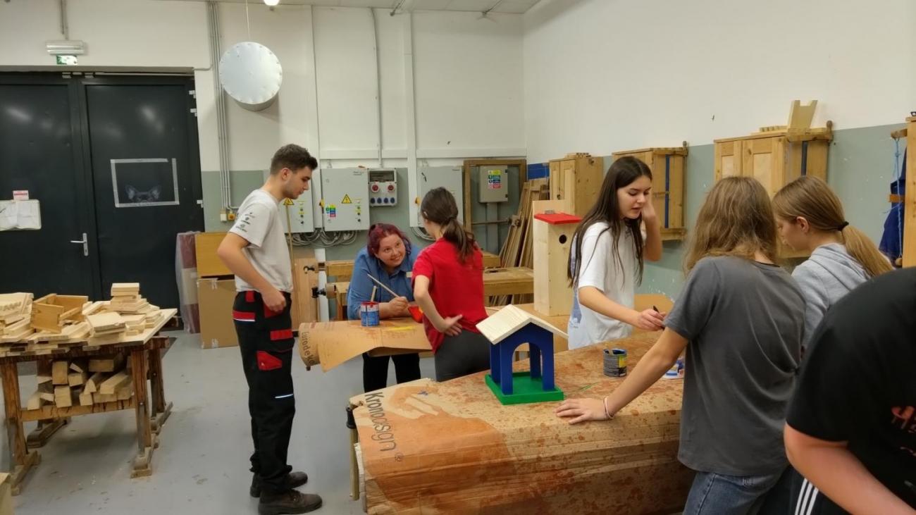 Projekt "Budka"; Spolupráce 7.C s klienty DTS Jihlava