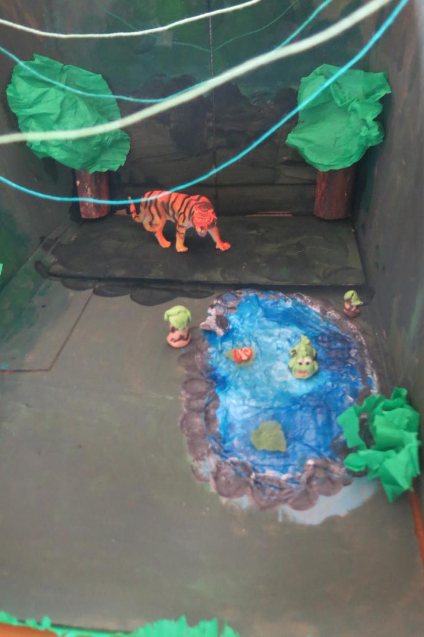 Podnebné pásy  5.A a 5.B