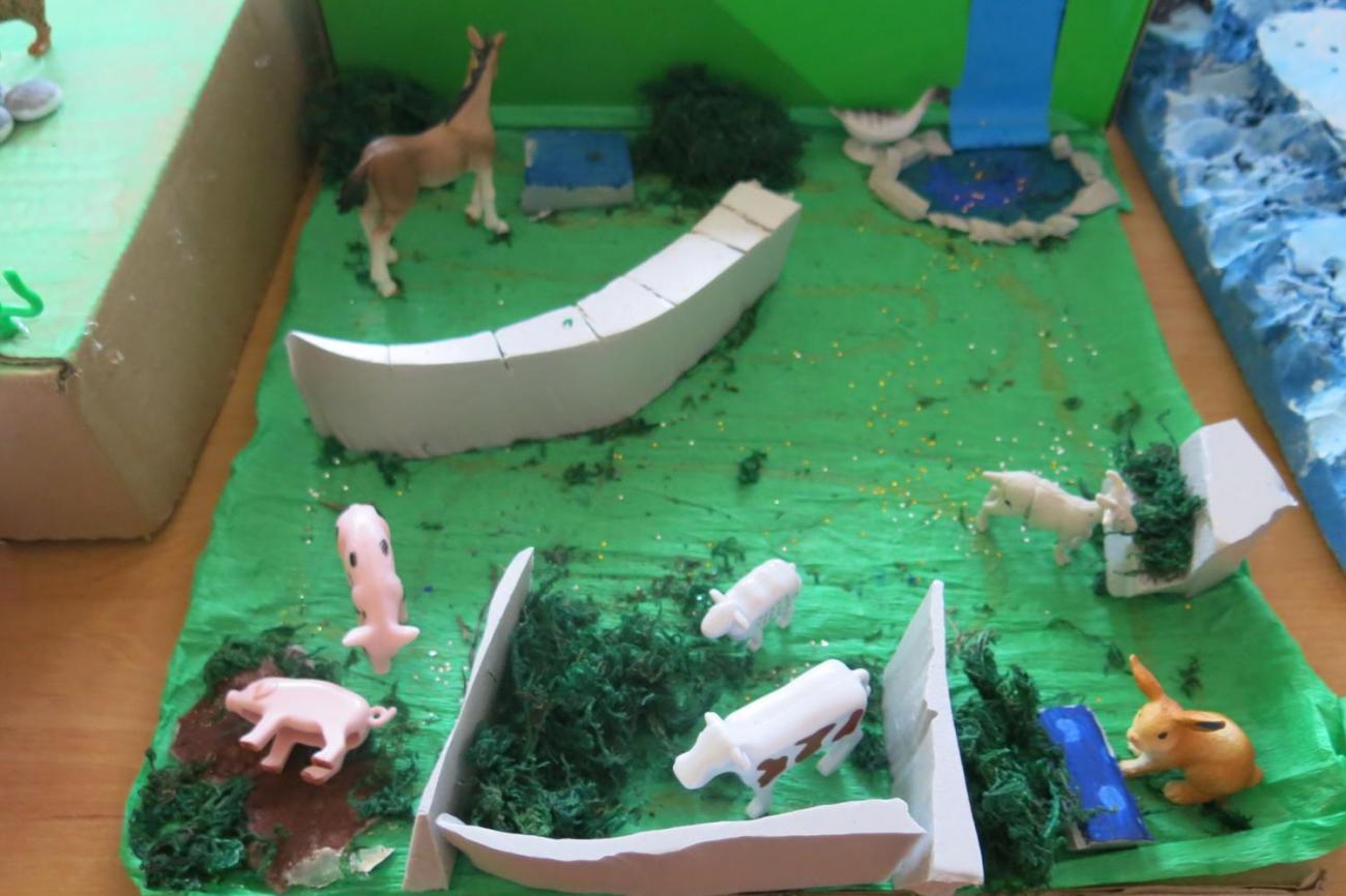 Podnebné pásy  5.A a 5.B