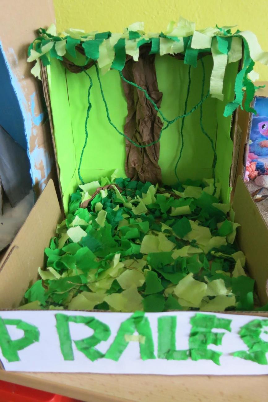 Podnebné pásy  5.A a 5.B