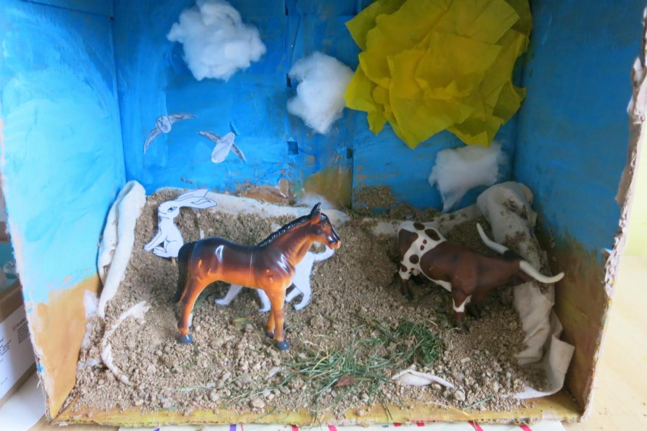 Podnebné pásy  5.A a 5.B