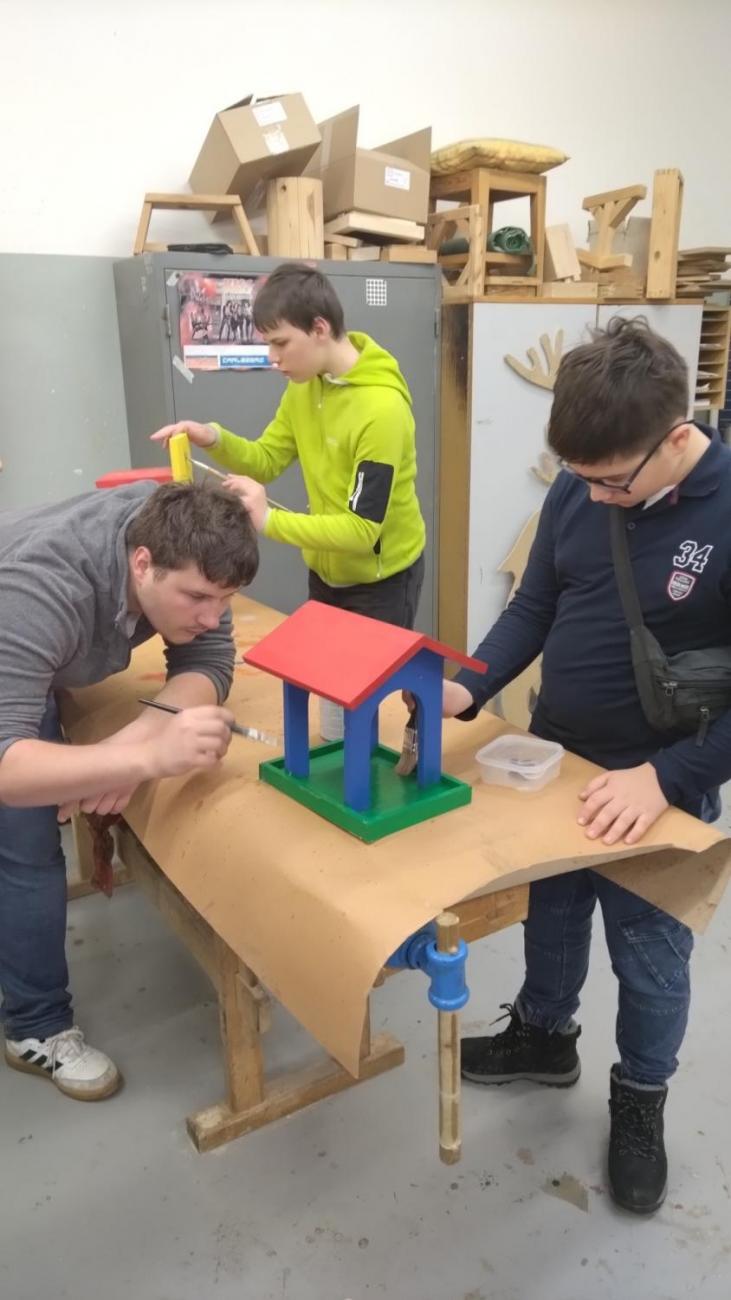 Spolupráce 7.C a DTS Jihlava, Projekt "Budka"