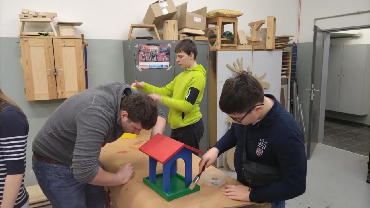 Spolupráce 7.C a DTS Jihlava, Projekt "Budka"