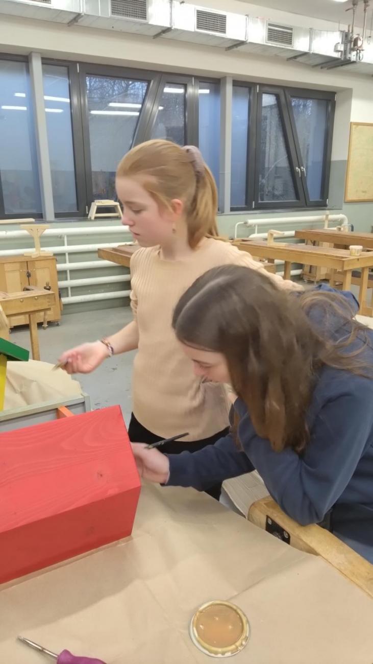 Spolupráce 7.C a DTS Jihlava, Projekt "Budka"