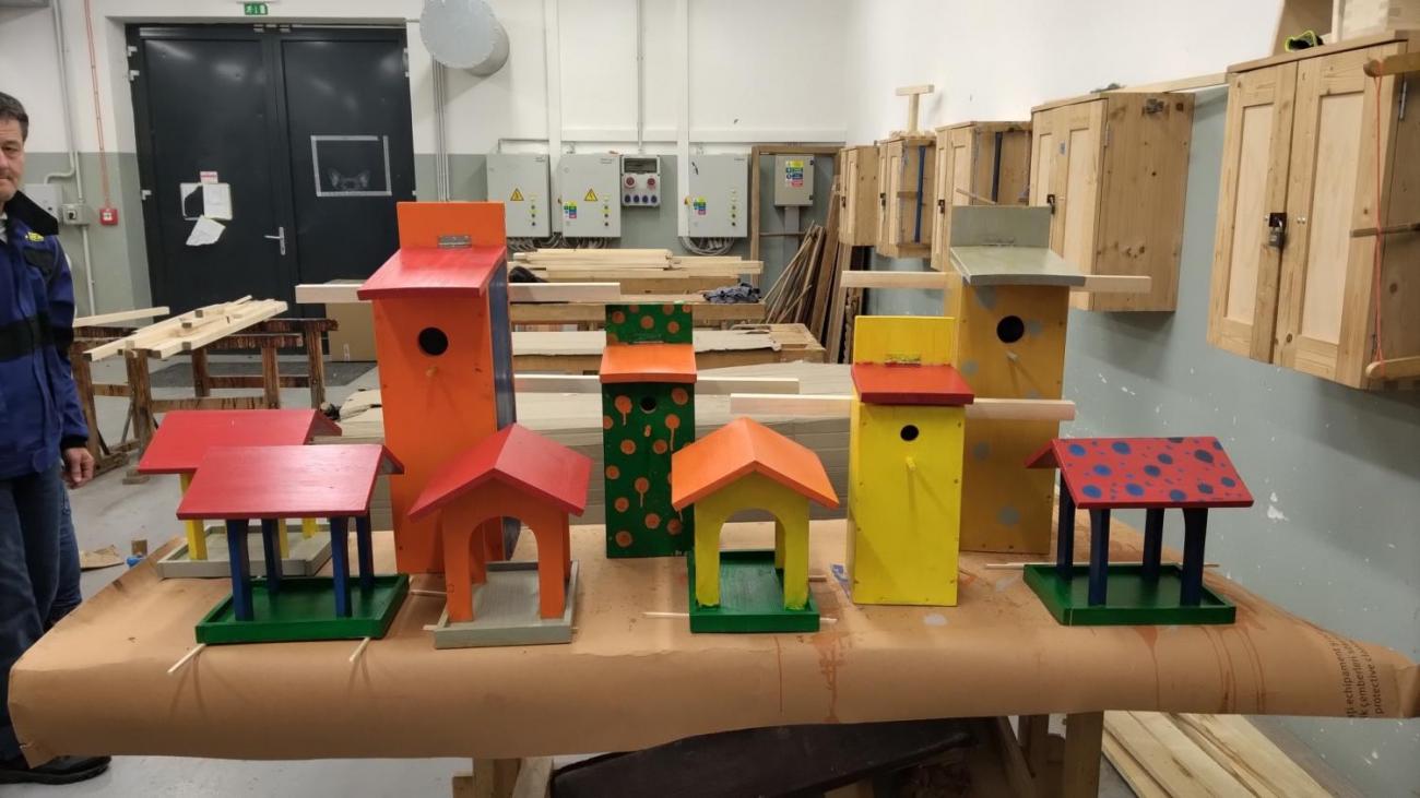 Spolupráce 7.C a DTS Jihlava, Projekt "Budka"