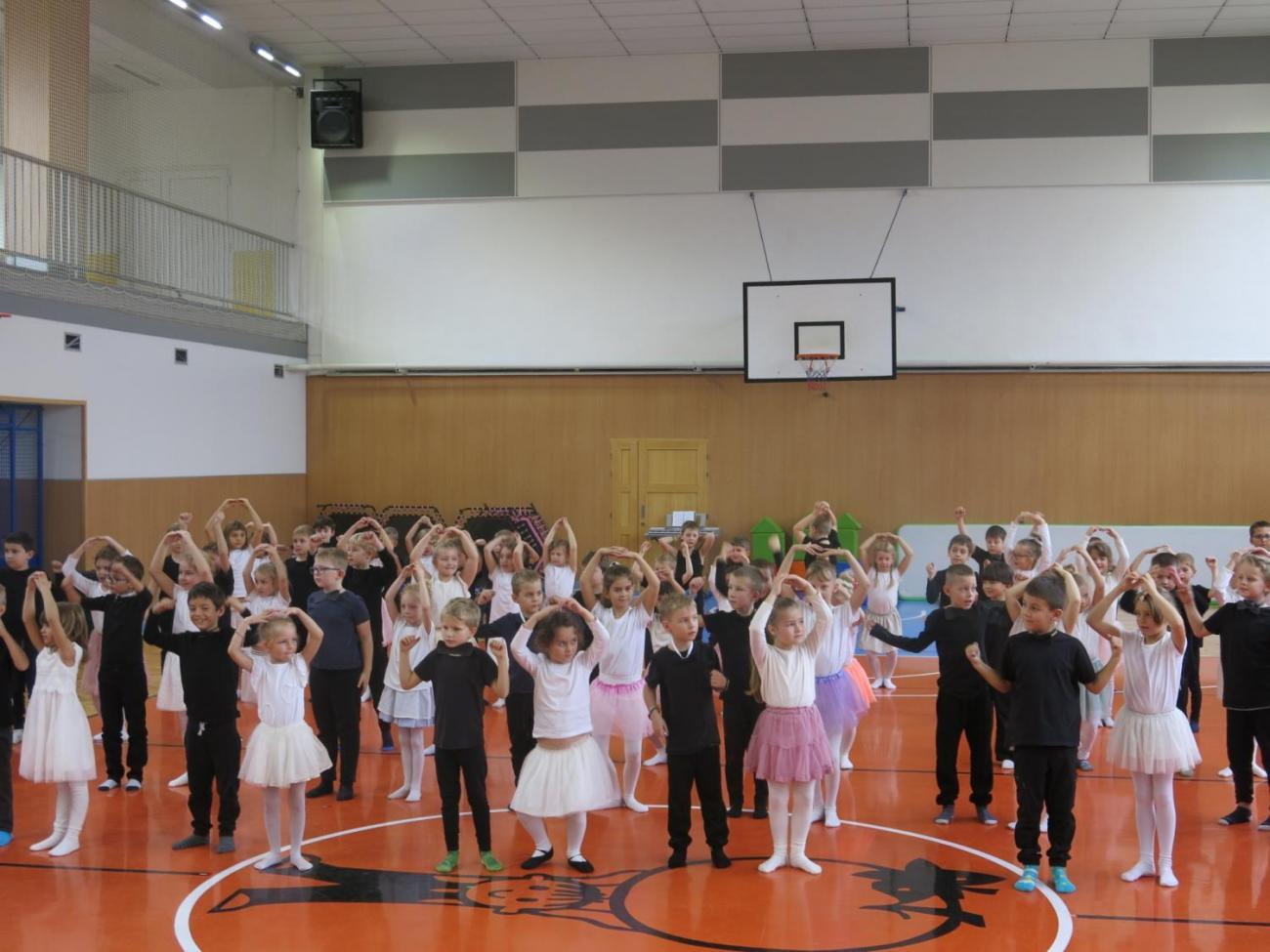 Ozvěny 31. Veletrhu zdraví