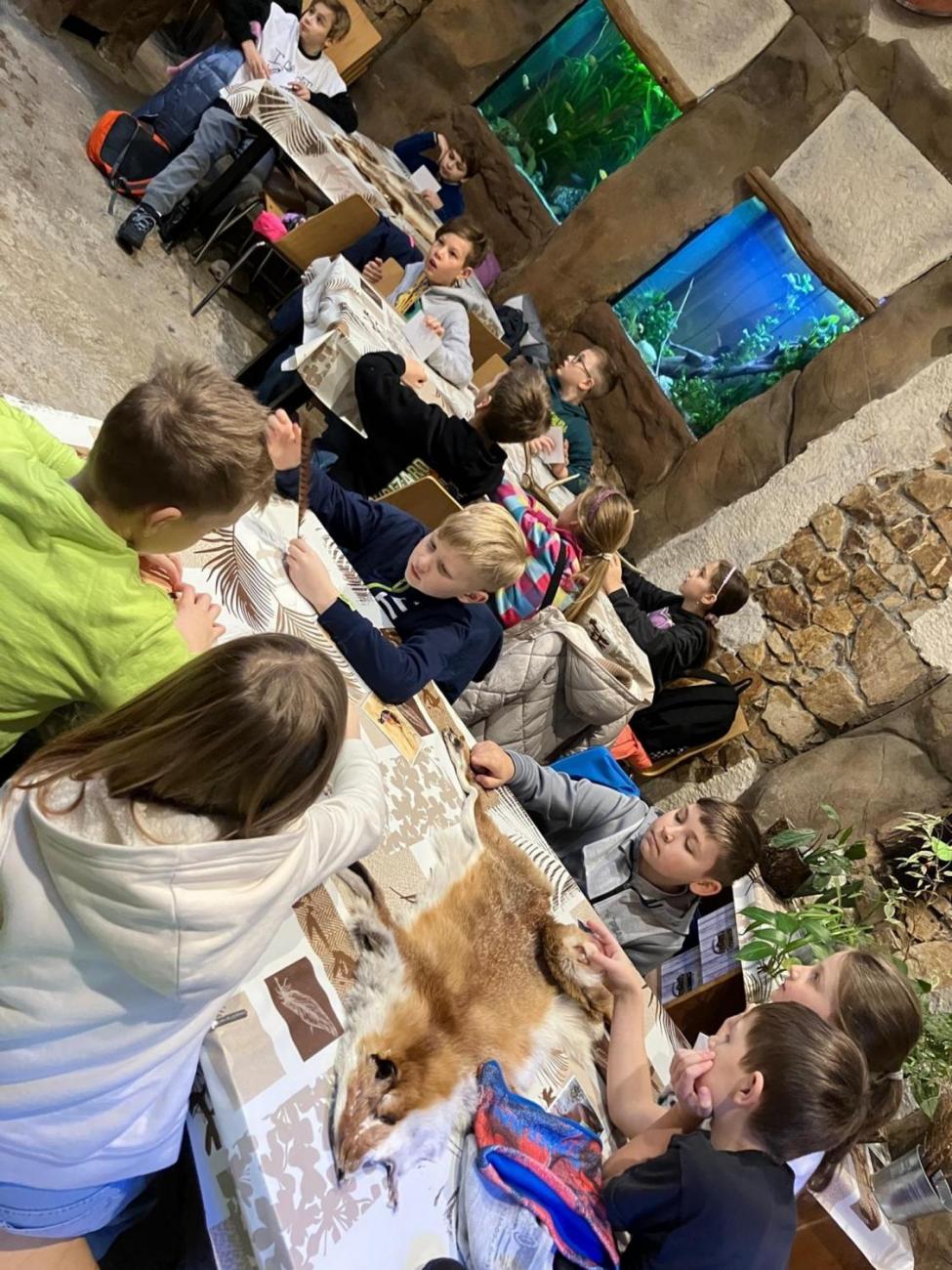 ZOO - Program "Les žije"  4.B