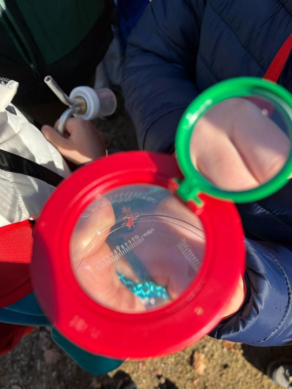 Program "Les žije"   4.C