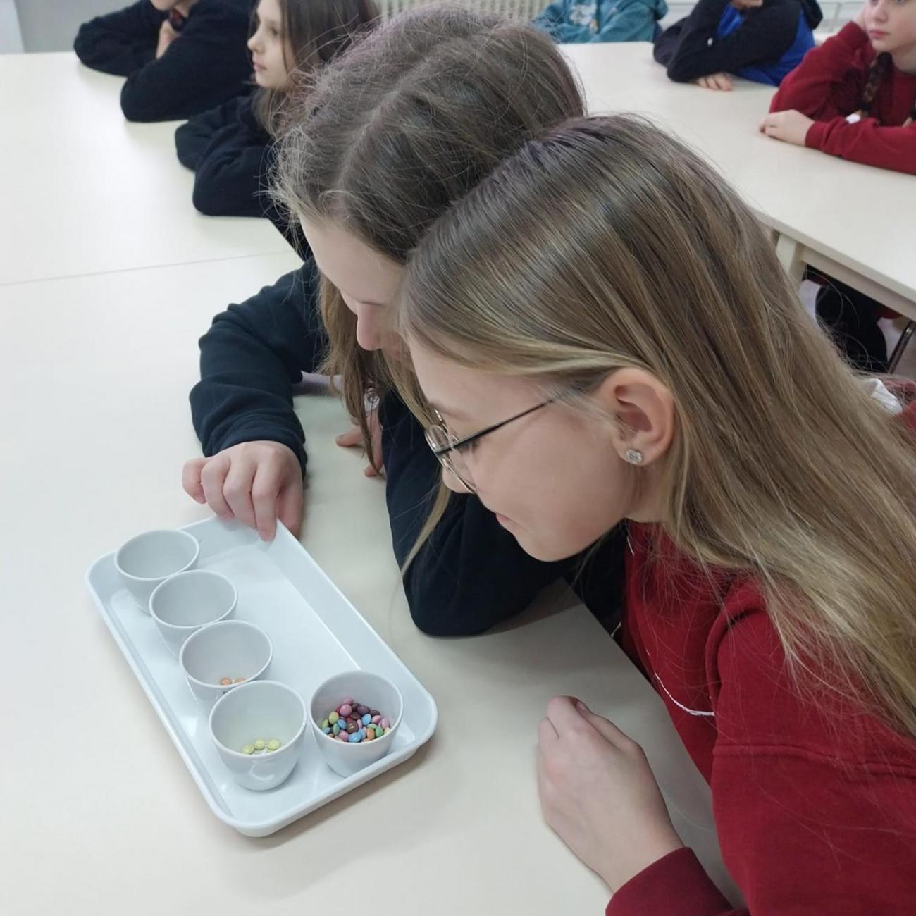 Státní veterinární ústav  –  6. A 