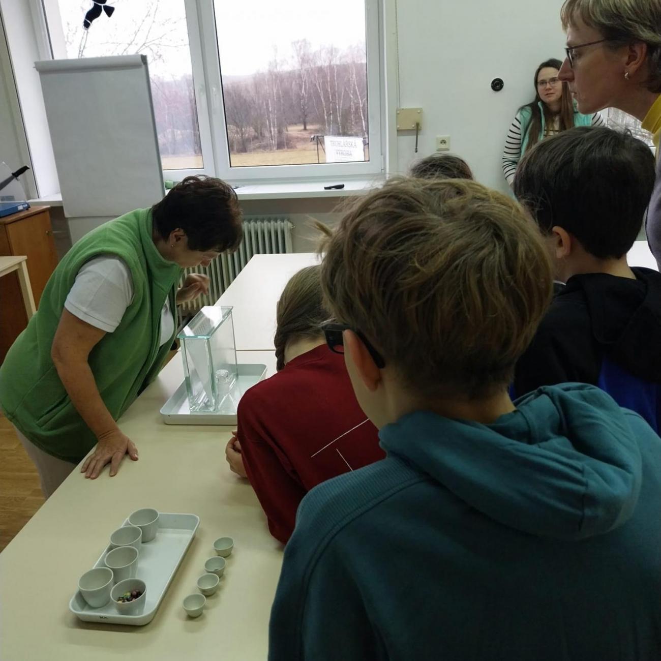 Státní veterinární ústav  –  6. A 