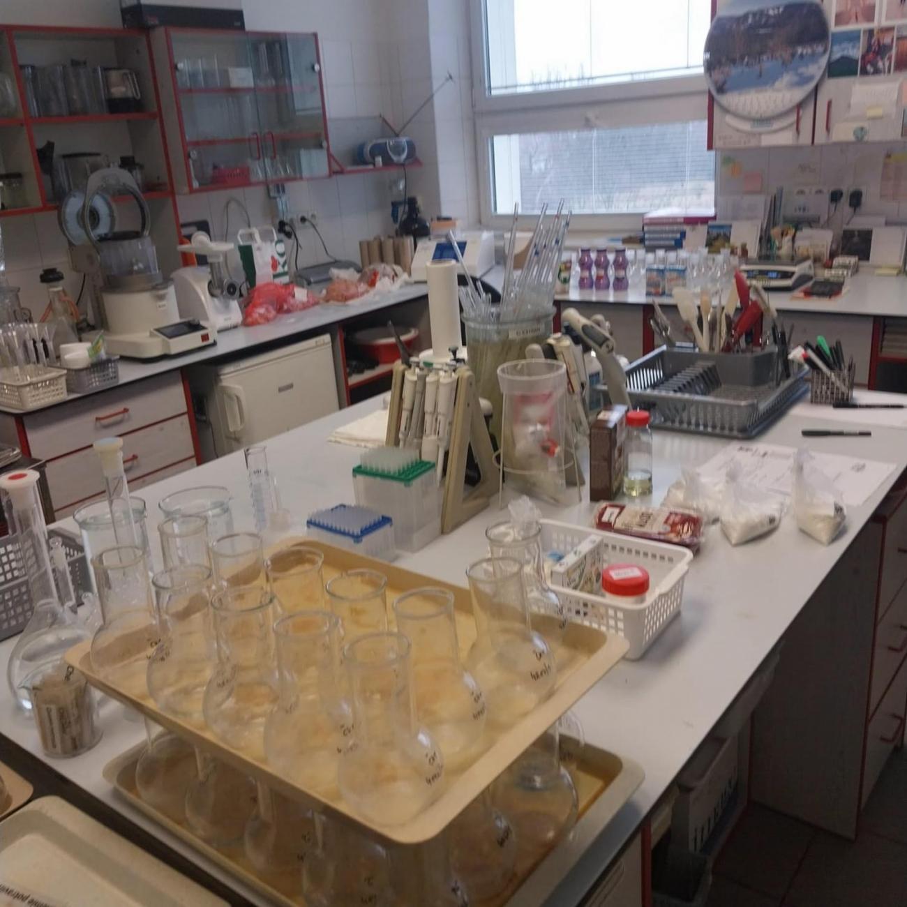 Státní veterinární ústav  –  6. A 