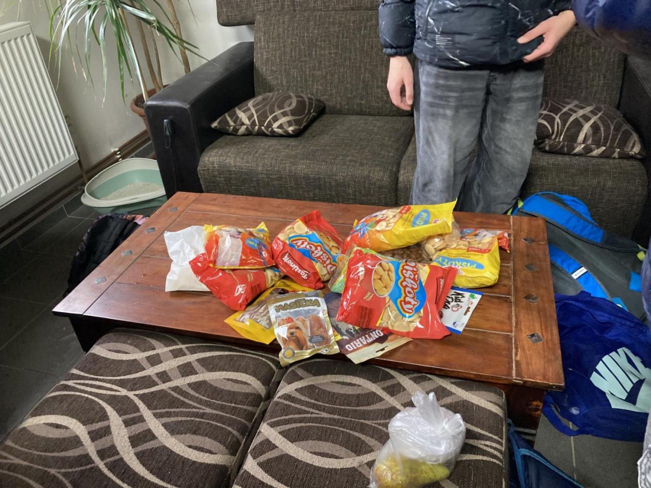 Svět práce - Útulek pro opuštěná a nalezená zvířata  7.A